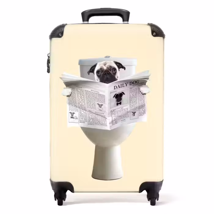 Koffer - Doggie liest die Zeitung