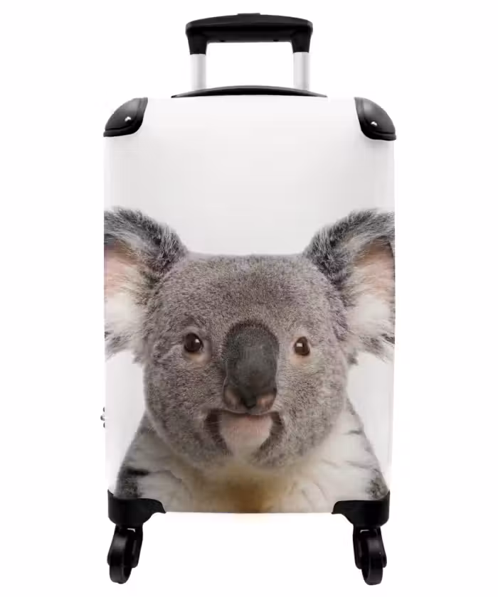 Koffer - Niedlicher Koala-Bär