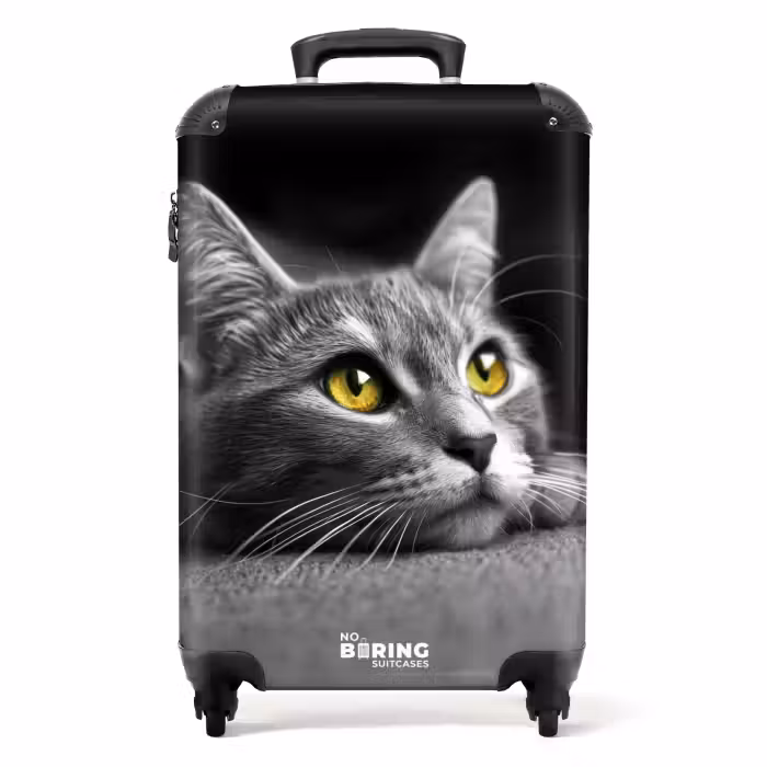 Koffer - Schwarz-weiße Katze mit gelben Augen