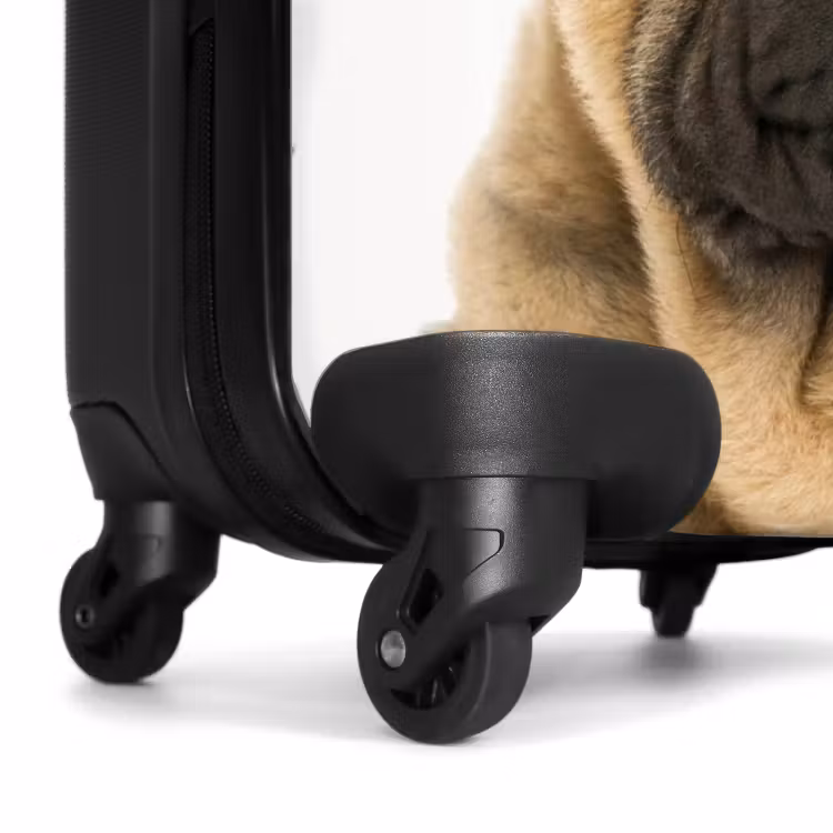Koffer mit Name - Hund mit wütendem Kopf — 5