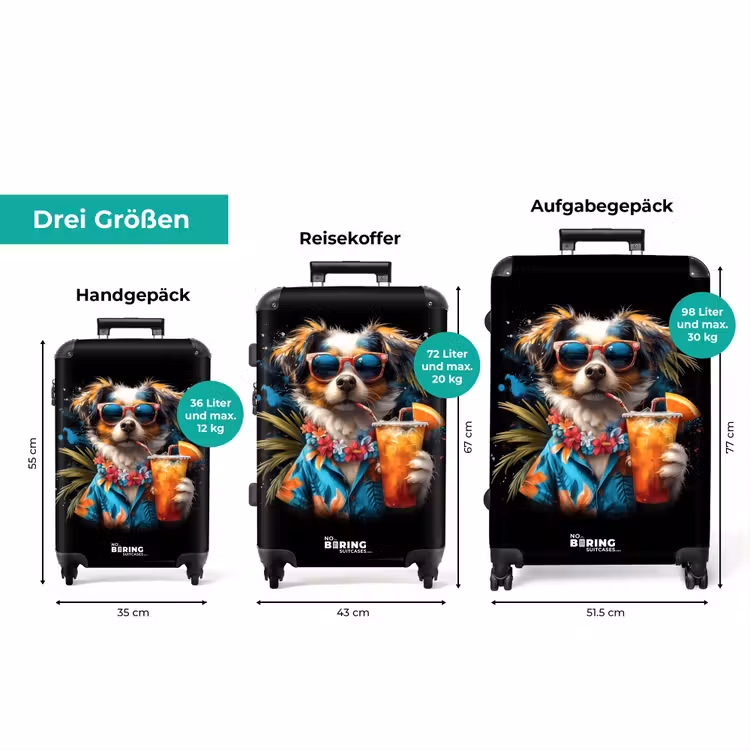 Koffer - Hund in tropischen Sphären — 3
