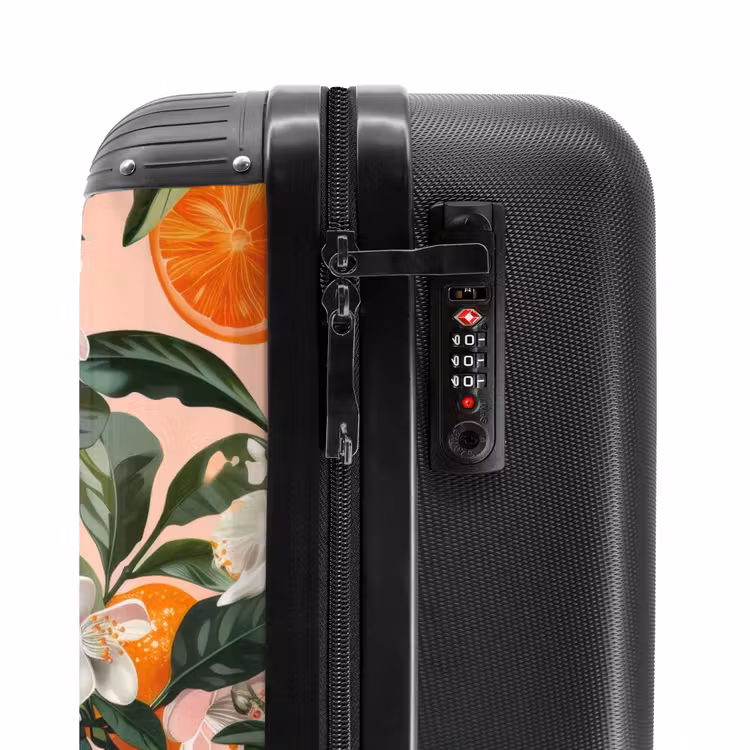 Koffer - Alte Früchte - Orangen — 5