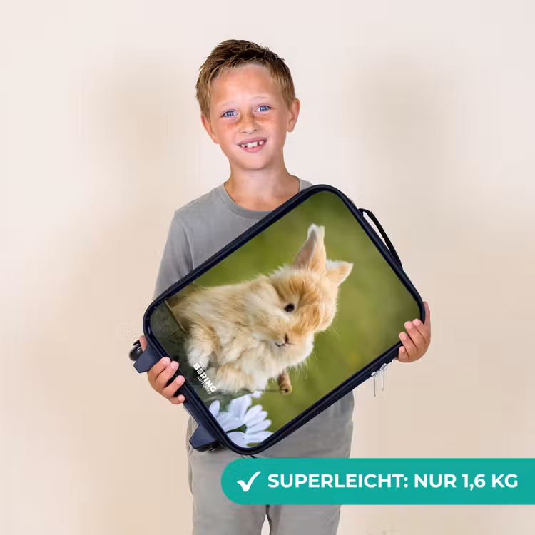 Kinderkoffer - Kaninchen im Blumentopf — 2