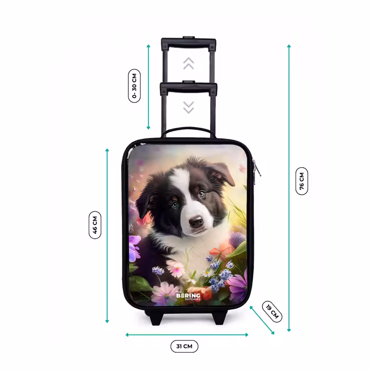 Kinderkoffer - Blauäugiger Hund auf einem Feld — 4