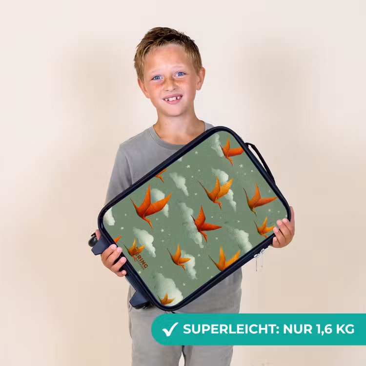 Kinderkoffer - Fliegende Pterosaurier zwischen den Sternen — 2