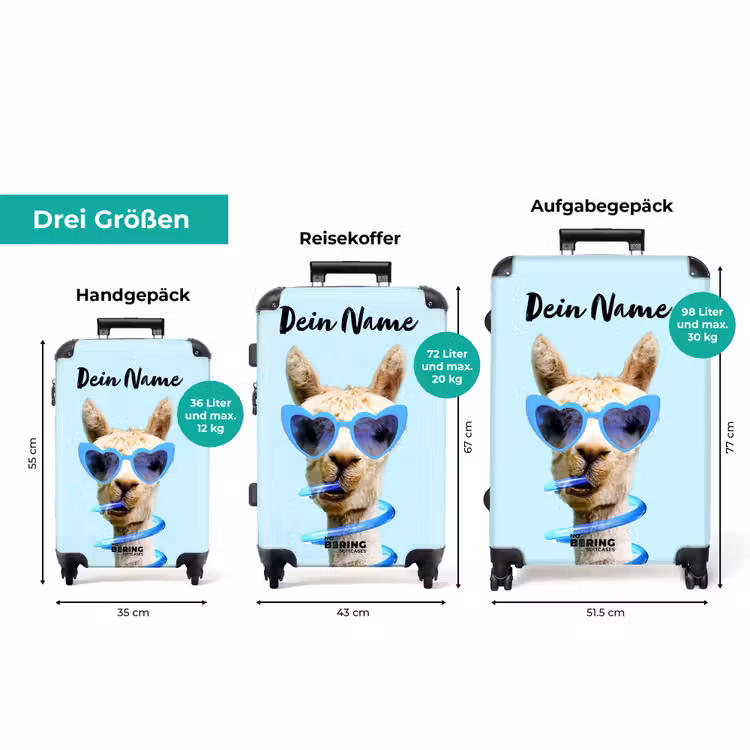 Koffer mit Name - Allard Alpaka — 3
