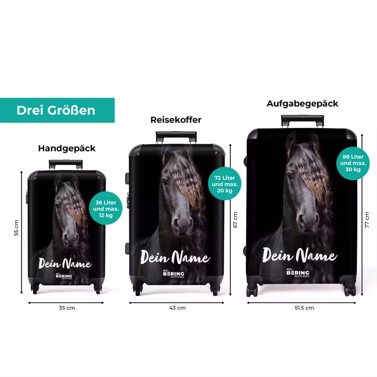Koffer mit Name - Friesenhengst — 3