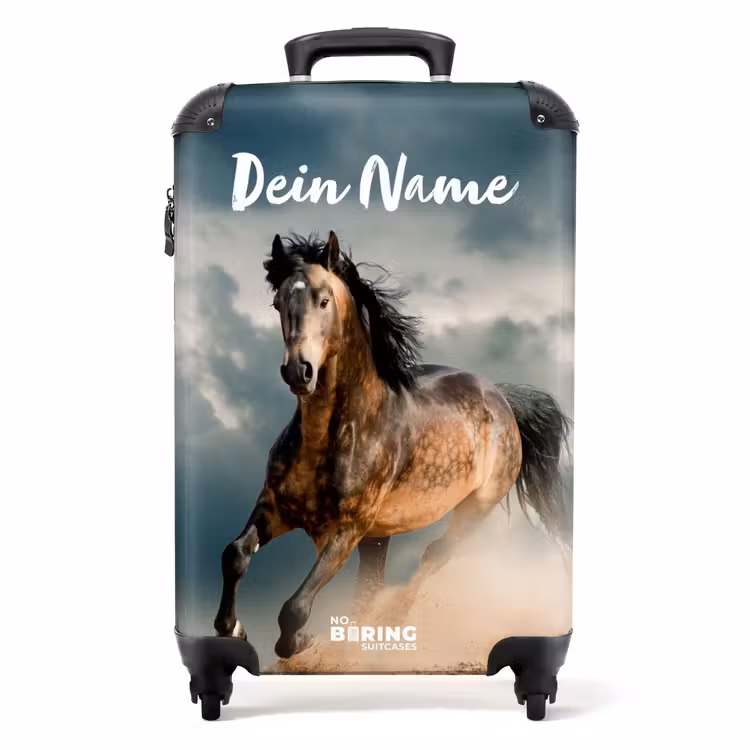 Koffer mit Name - Sandy im Sturm — 1