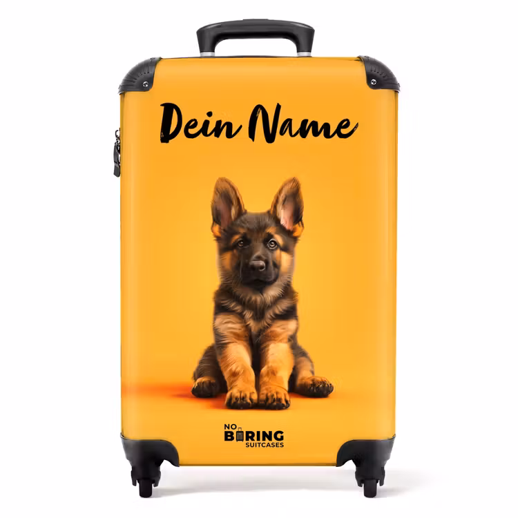Koffer mit Name - Hein Schafhirte — 1