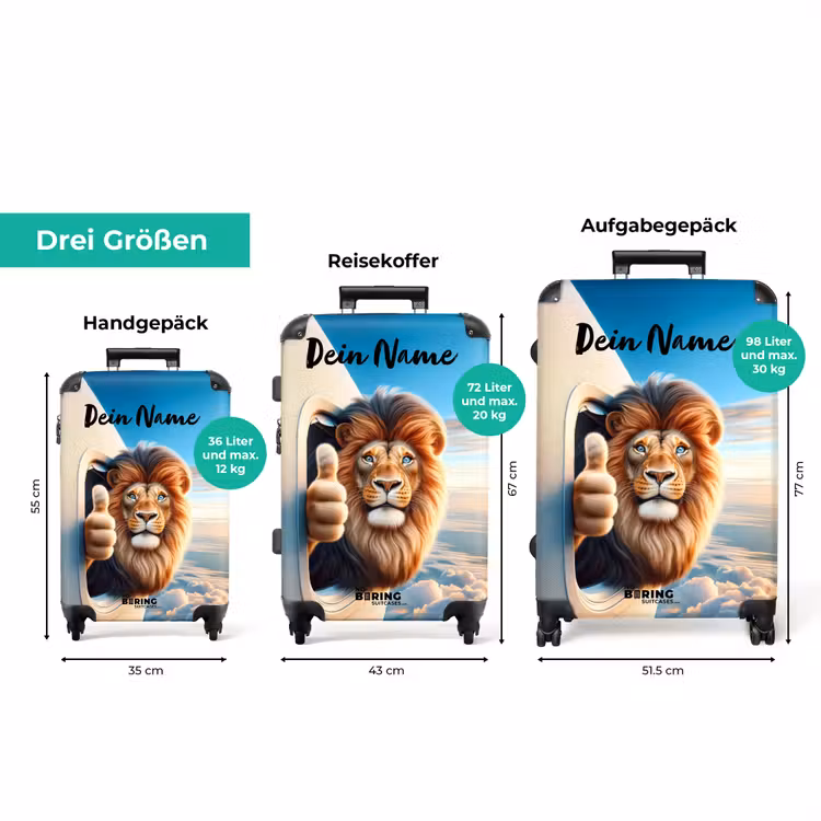 Koffer mit Name - Flugzeugführer Löwe — 3