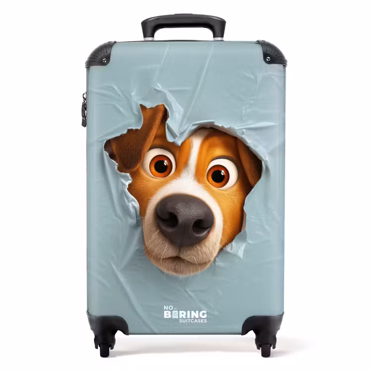 Koffer - Brauner Hund durch zerrissenes blaues Plastik — 1
