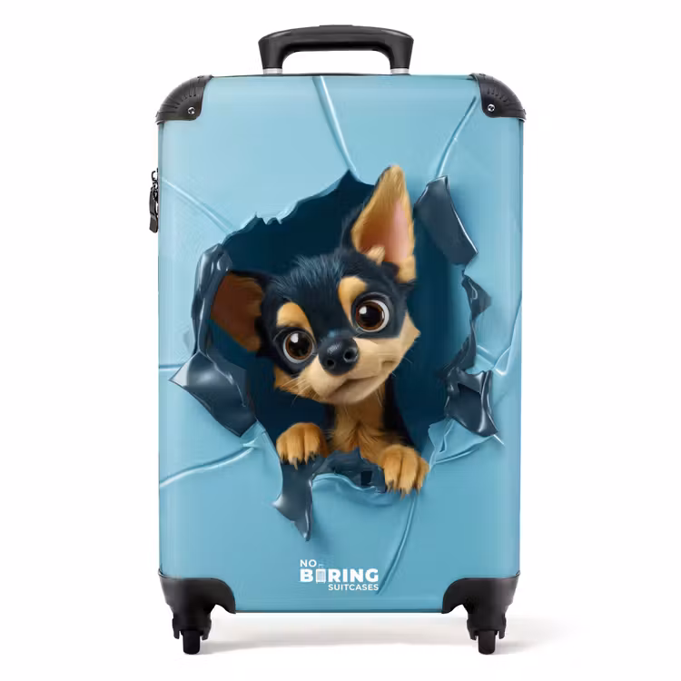 Koffer - Kleiner Chihuahua steckt den Kopf durch eine blaue Wand — 1