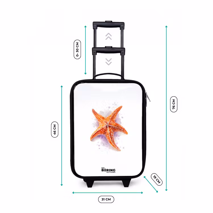 Kinderkoffer - Orange Seestern Illustration — 7