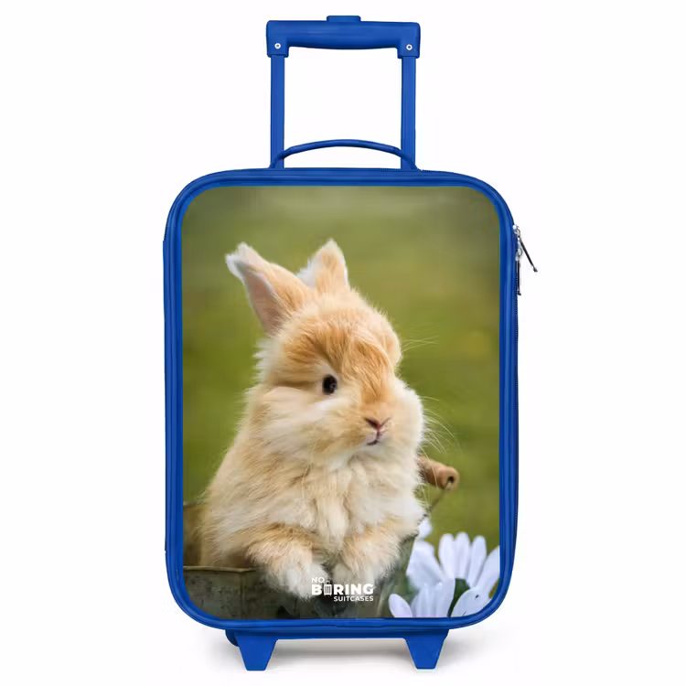 Kinderkoffer Blau - Kaninchen im Blumentopf — 1