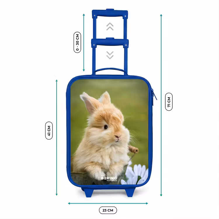 Kinderkoffer Blau - Kaninchen im Blumentopf — 7