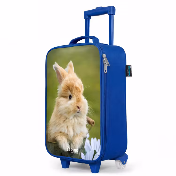 Kinderkoffer Blau - Kaninchen im Blumentopf — 8