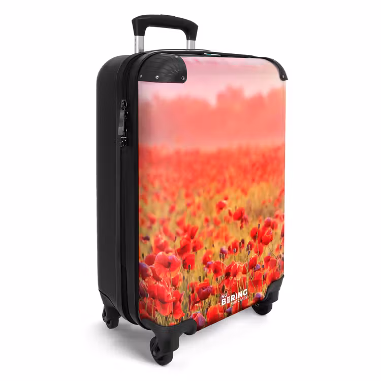 Koffer - Mohnblumen bei Sonnenuntergang — 2