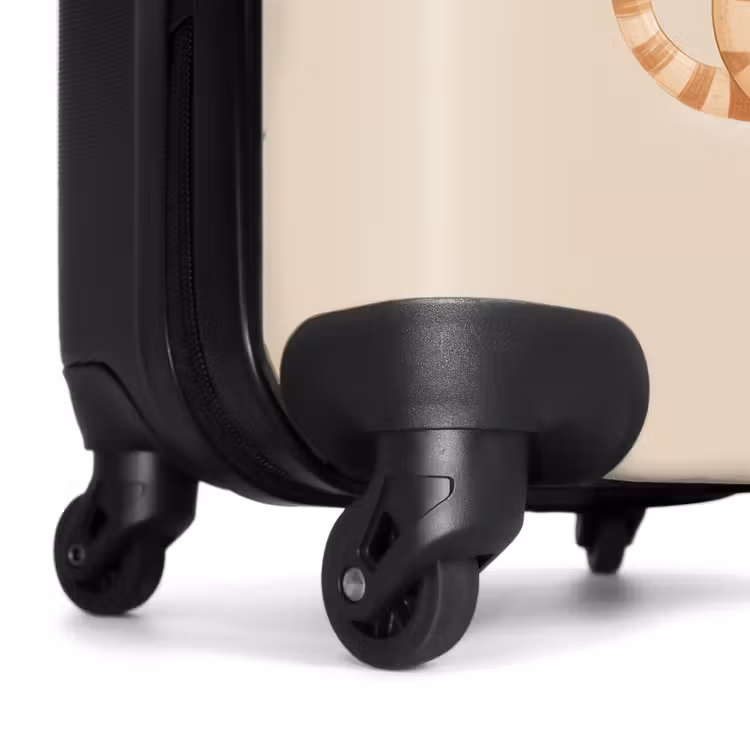 Koffer - Kätzchen in Beige und Weiß — 6