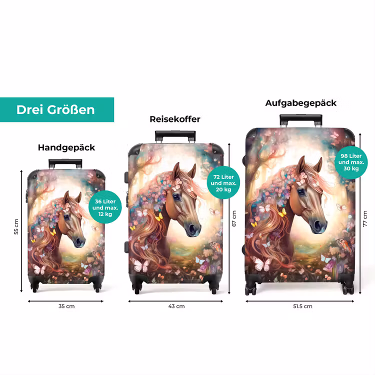 Koffer - Schmetterlingsstute — 3