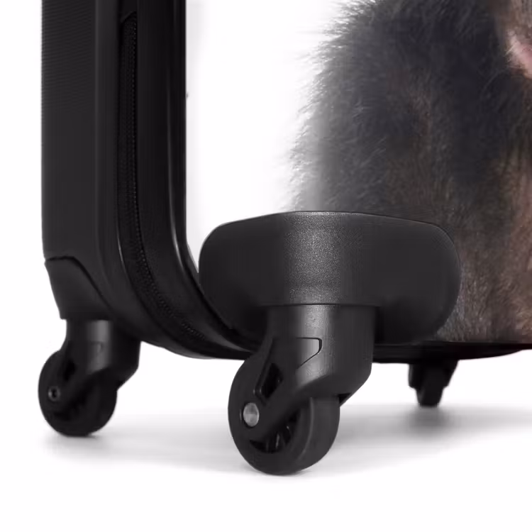 Koffer - Charlie Chimp — 6