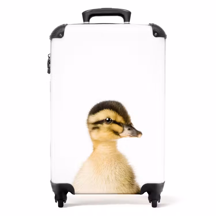 Koffer - Daisy Duck — 1