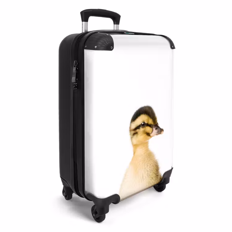 Koffer - Daisy Duck — 2