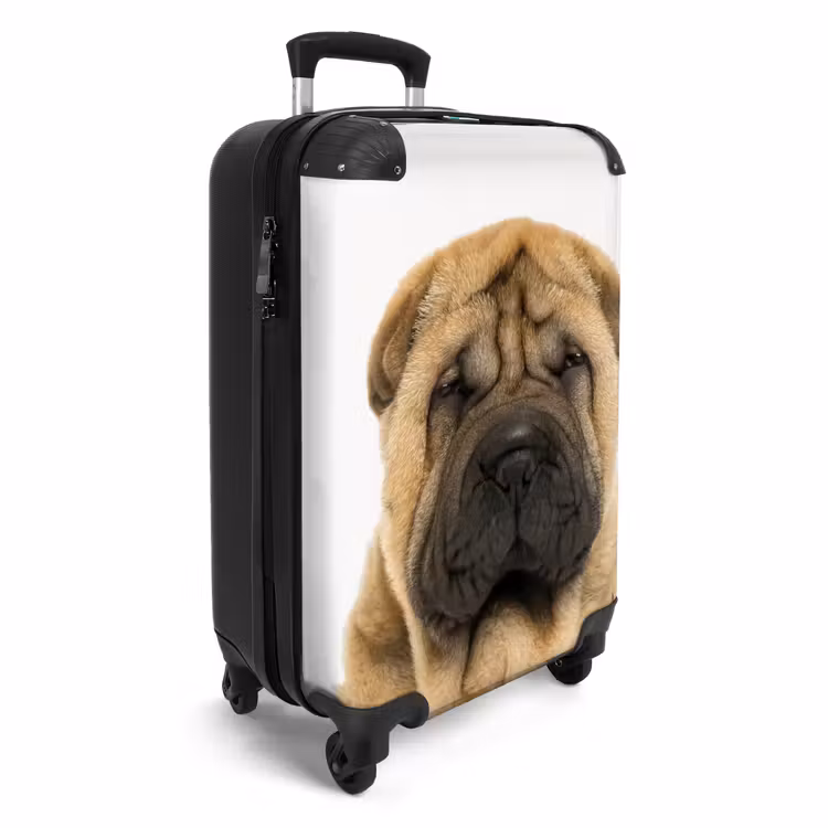 Koffer - Hund mit wütendem Kopf — 2