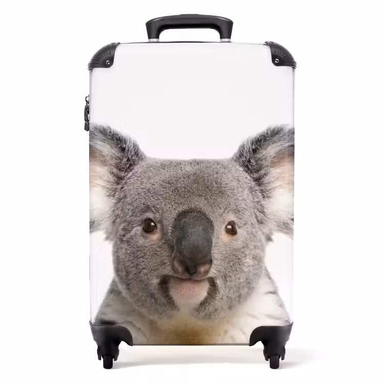 Koffer - Niedlicher Koala-Bär — 1
