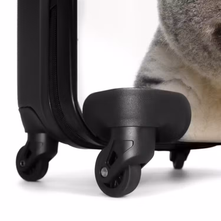 Koffer - Niedlicher Koala-Bär — 6