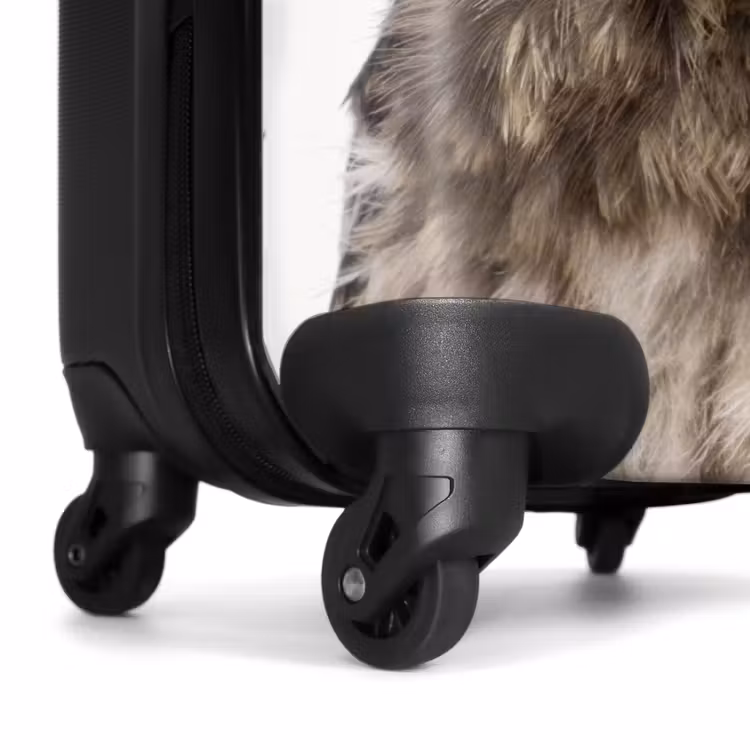 Koffer - Ulke Eule — 6