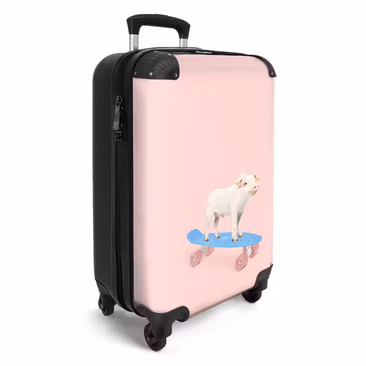 Koffer - Schweinetransport — 2