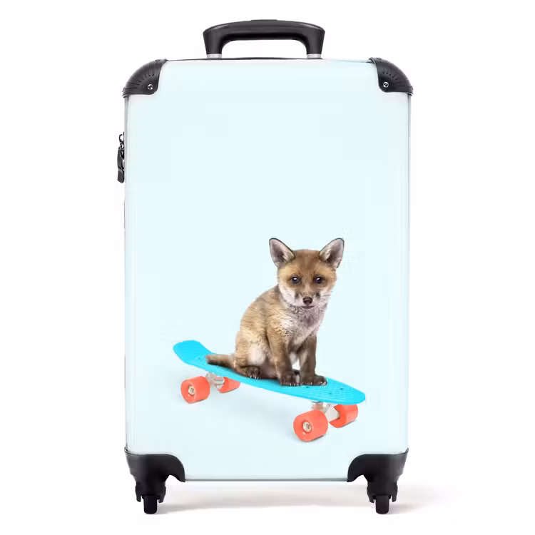 Koffer - Wanderfuchs — 1
