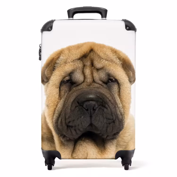 Koffer - Hund mit wütendem Kopf — 1