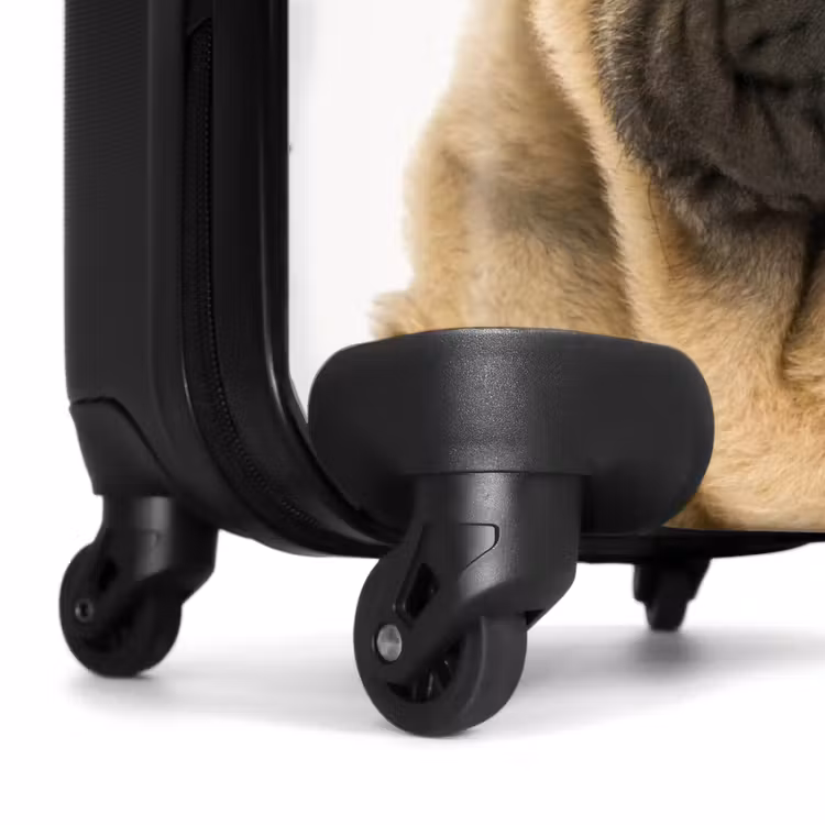 Koffer - Hund mit wütendem Kopf — 6