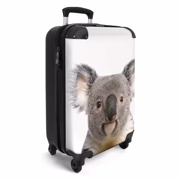 Koffer - Niedlicher Koala-Bär — 2