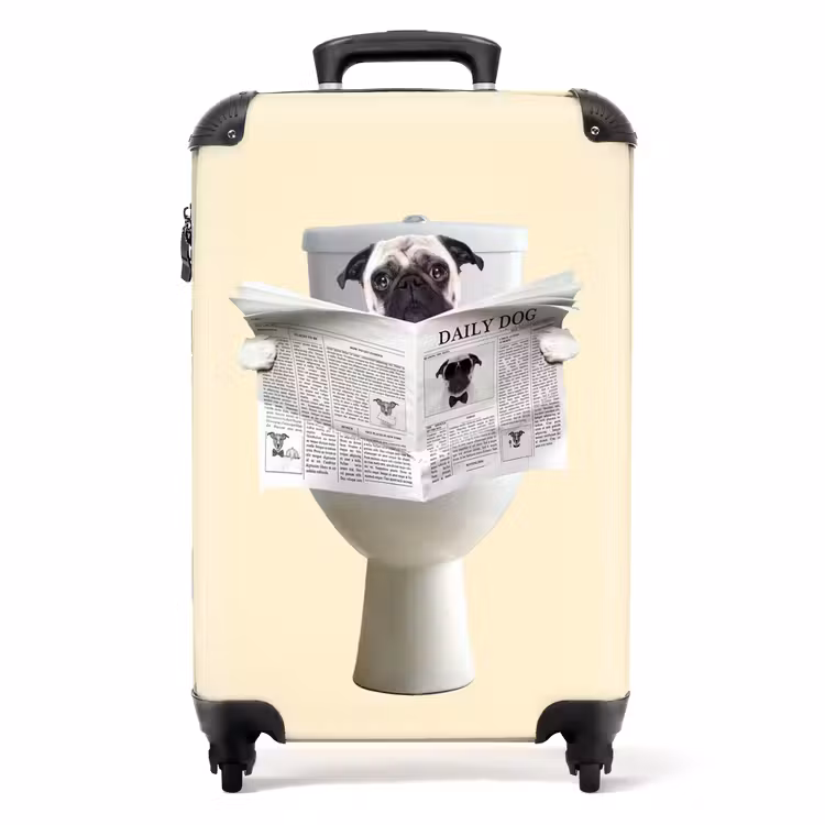 Koffer - Doggie liest die Zeitung — 1