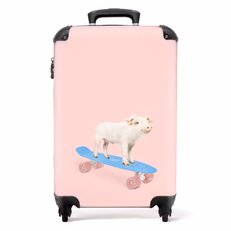 Koffer - Schweinetransport — 1