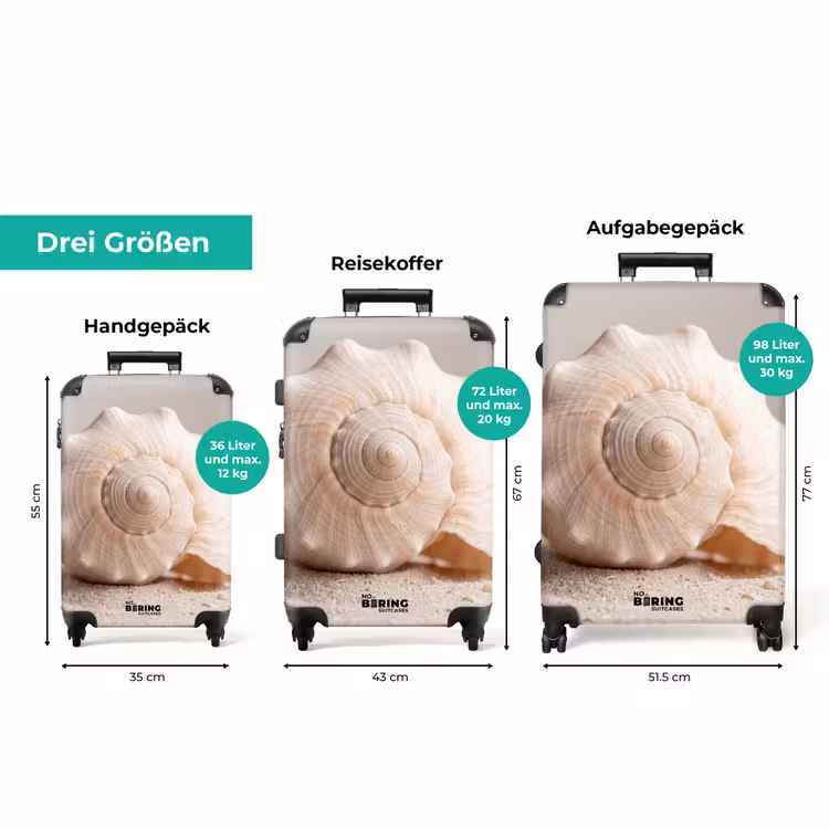 Koffer - Muschel - Detail - Beige — 3