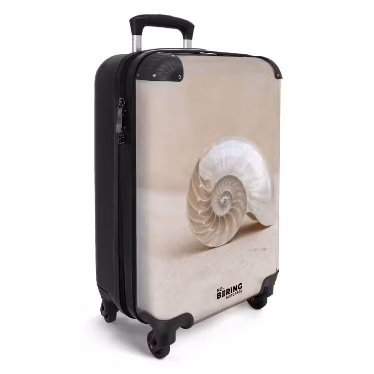 Koffer - Muschel - Spirale - Beige — 2