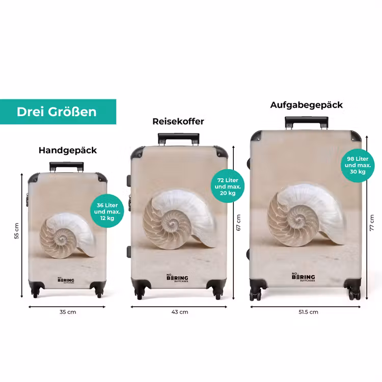 Koffer - Muschel - Spirale - Beige — 3
