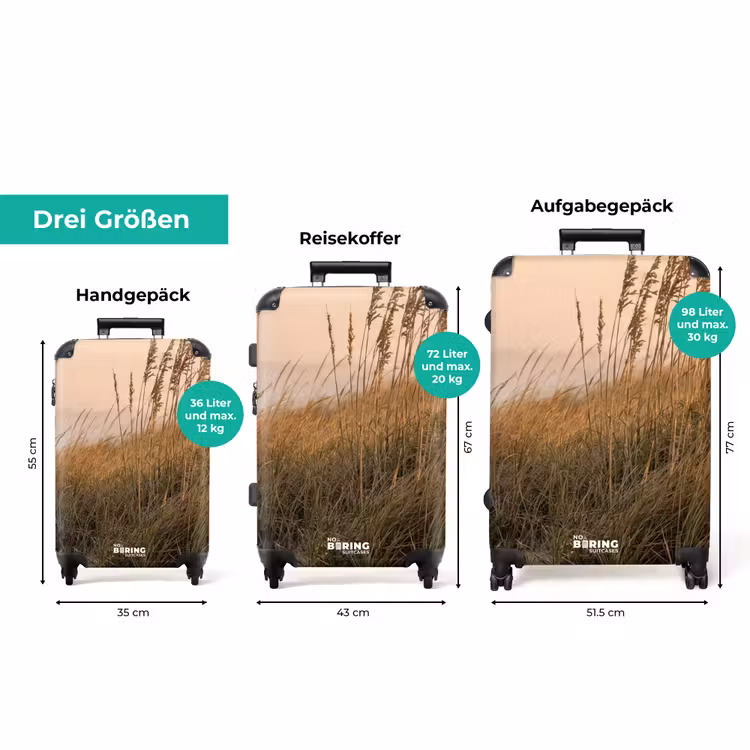 Koffer - Dünenlandschaft - Sonnenuntergang - Strand — 3