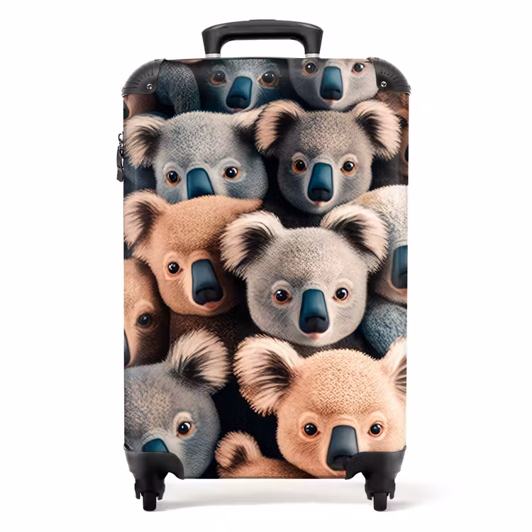 Koffer - Koala-Kapriolen — 1