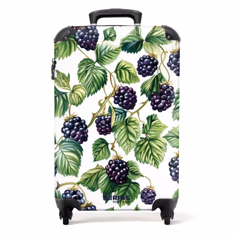 Koffer - Weinlesefrüchte - Brombeeren — 1
