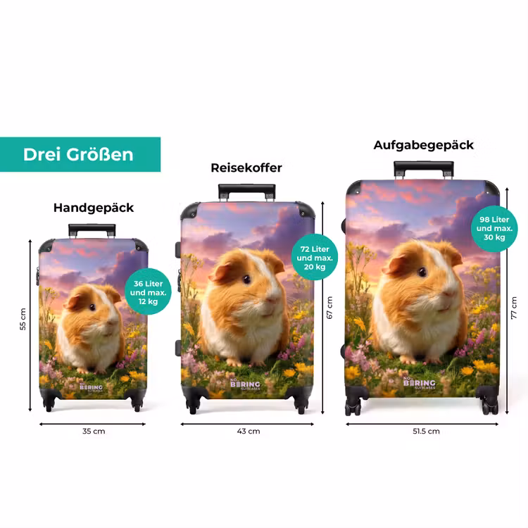 Koffer - Hamster zwischen Blumen mit Sonnenuntergang — 3
