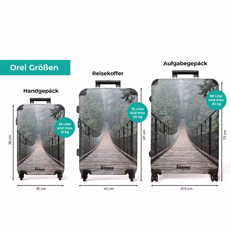 Koffer - Brücke – Wald – Nebel – Natur — 3