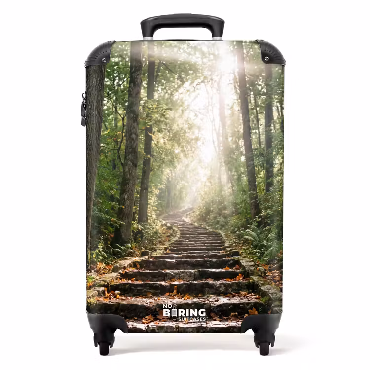Koffer - Steine – Treppe – Wald – Natur — 1