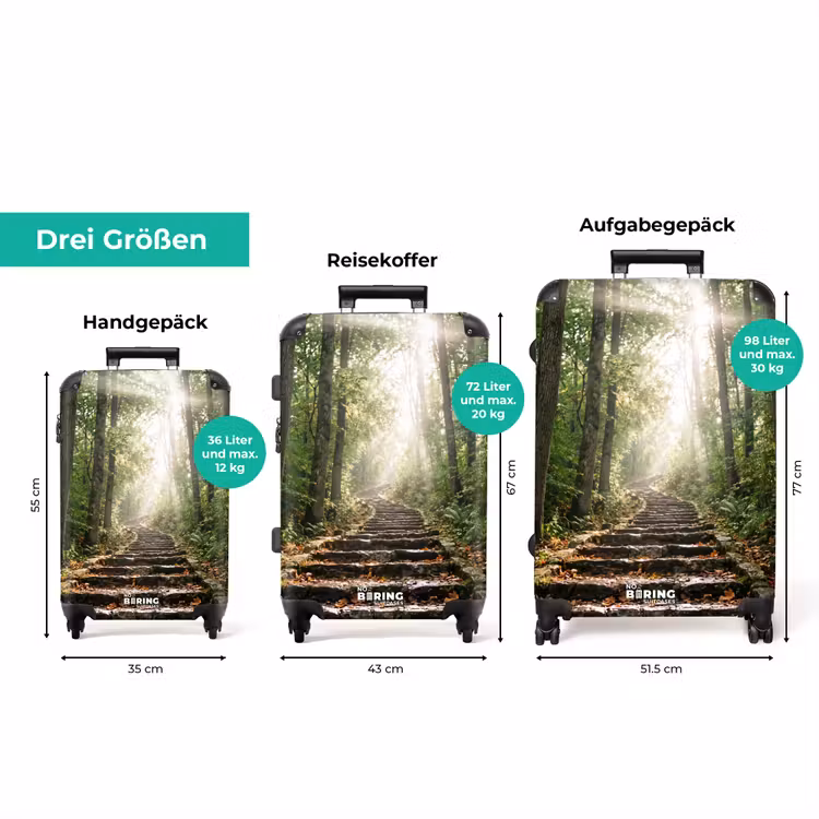 Koffer - Steine – Treppe – Wald – Natur — 3