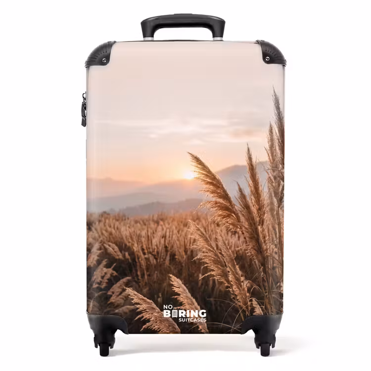 Koffer - Gras – Feld – Sonne – Natur — 1