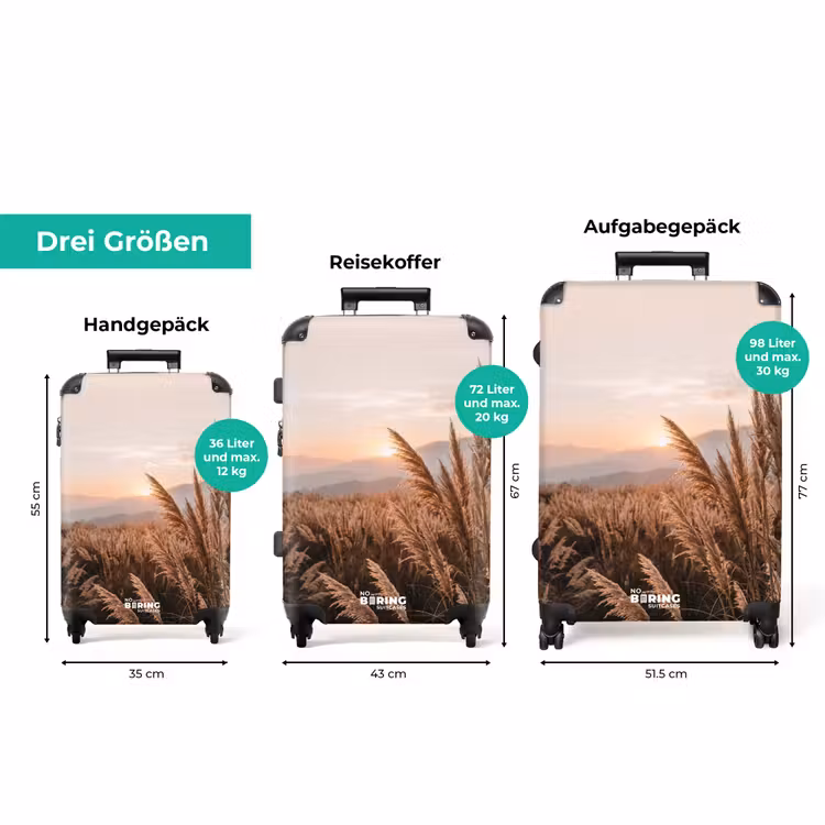 Koffer - Gras – Feld – Sonne – Natur — 3