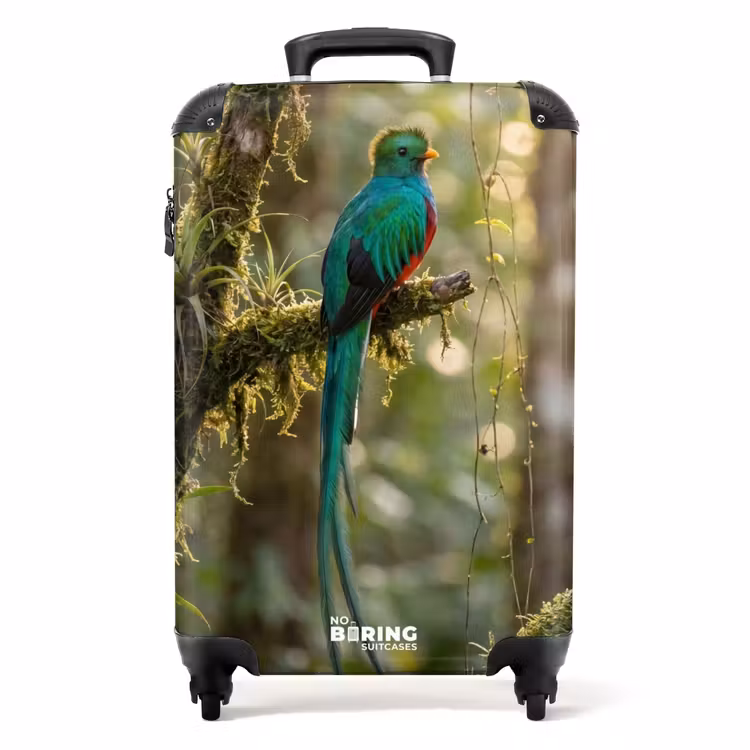 Koffer - Quetzal – Dschungel – Natur – Grün — 1